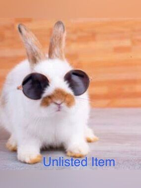 Unlisted Inventory